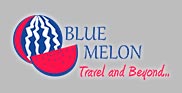 web design company design website